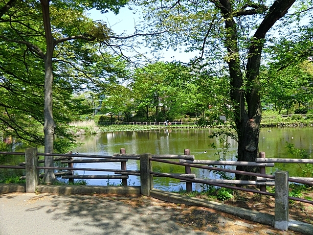 菊名池公園750m四季折々の自然が楽しめる、地域の憩いの公園。池の周りの散策や遊具広場、夏季限定の屋外プールもあり、家族で気軽に楽しめます。徒歩圏にある嬉しいスポットです。