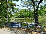 菊名池公園750m四季折々の自然が楽しめる、地域の憩いの公園。池の周りの散策や遊具広場、夏季限定の屋外プールもあり、家族で気軽に楽しめます。徒歩圏にある嬉しいスポットです。