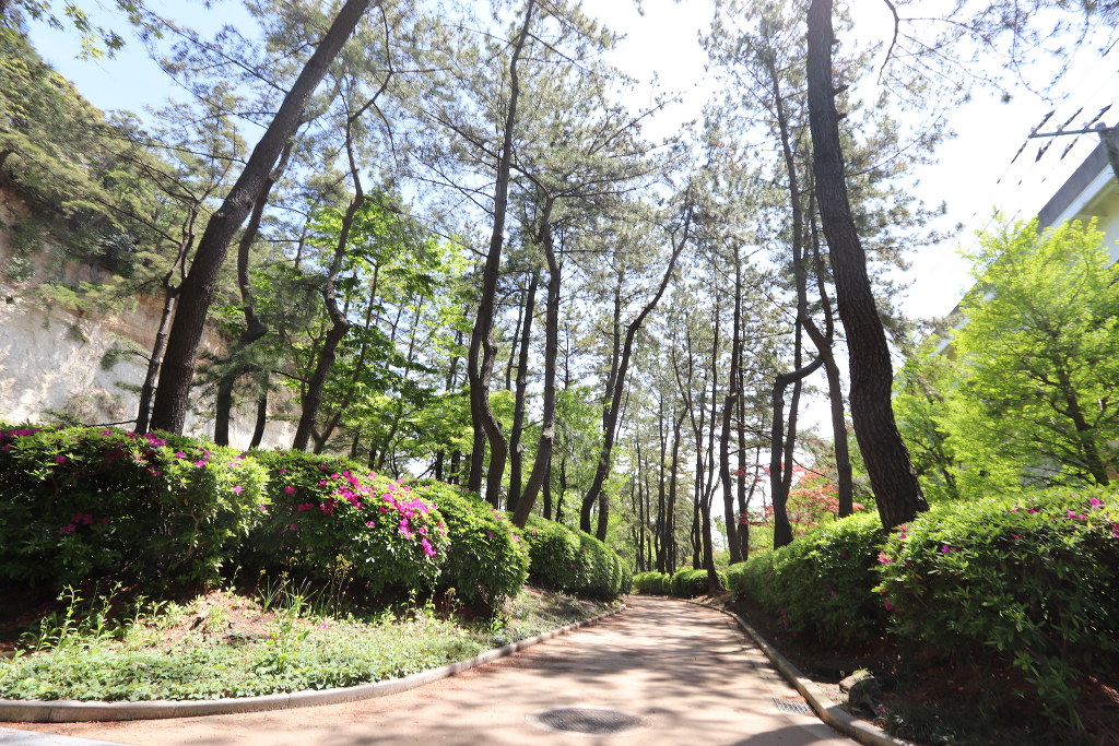 本牧市民公園880m徒歩11分