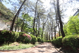 本牧市民公園880m徒歩11分