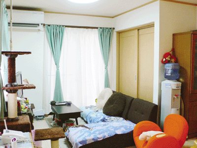 オーナーズインタビュー