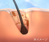 汚れを落としやすい